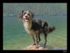 bohinj05_small.jpg
