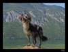 bohinj06_small.jpg