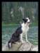 bohinj18_small.jpg