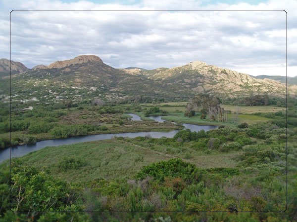 corsica04.jpg
