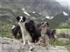 corsica08_small.jpg