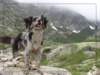 corsica09_small.jpg