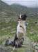 corsica10_small.jpg