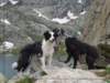 corsica17_small.jpg