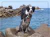 corsica44_small.jpg
