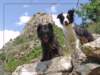 corsica47_small.jpg