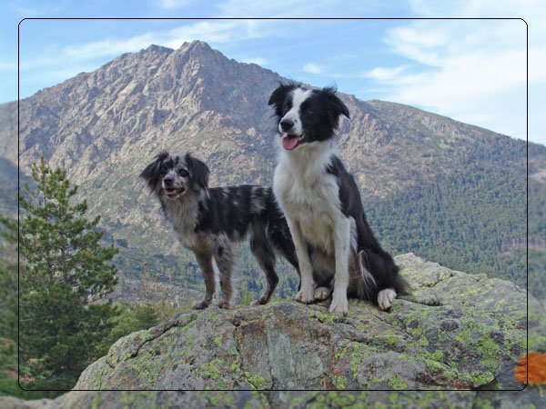 corsica48.jpg