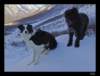 dsc06019ret_small.jpg