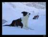 dsc06050_small.jpg