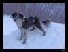 dsc06073_small.jpg