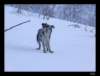 dsc06111_small.jpg