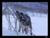 dsc06119_small.jpg