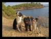 dsc06984_small.jpg