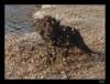 dsc06999_small.jpg