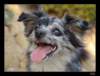 dsc07022_small.jpg