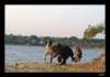dsc07076_small.jpg
