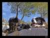 dsc07079_small.jpg