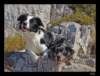 dsc07093_small.jpg