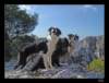 dsc07095_small.jpg