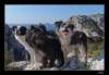 dsc07121_small.jpg