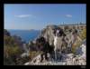 dsc07126_small.jpg