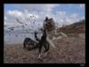 dsc07152_small.jpg