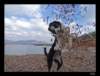 dsc07157_small.jpg