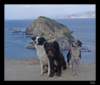 dsc07161_small.jpg