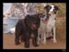 dsc07177_small.jpg