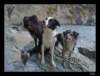 dsc07202_small.jpg
