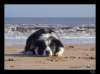dsc07216_small.jpg