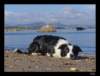 dsc07222_small.jpg
