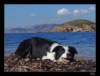 dsc07232_small.jpg
