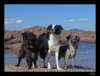 dsc07233_small.jpg