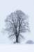 jan0924_small.jpg
