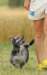 weeks19_small.jpg