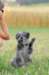 weeks23_small.jpg