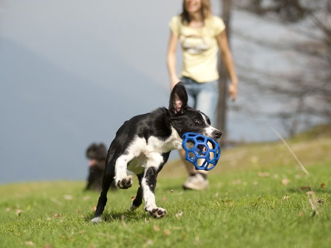 maj1013.jpg