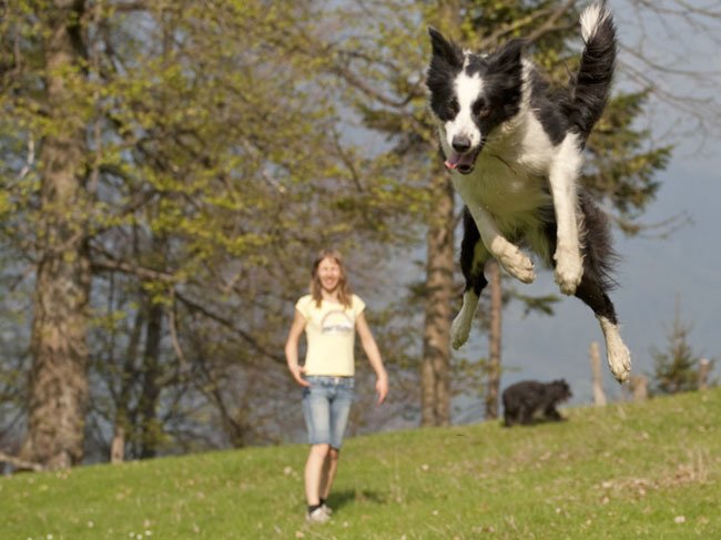 maj1017.jpg