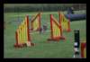 img18_small.jpg