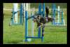 agi0709_small.jpg