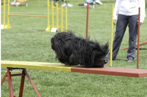 img_0794copy.jpg