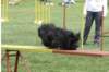 img_0794copy_small.jpg