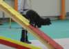 photo10_small.jpg