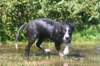 barje4fun_47_small.jpg