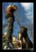 trip10_small.jpg