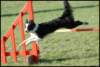 fr07_small.jpg