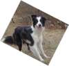 photo11_small.jpg