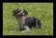 misc08_small.jpg