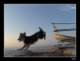 sea07_small.jpg